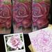 Pink Rose Tattoo Tattoo Design Thumbnail
